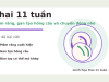 Thai 11 tuần: sự phát triển của bé và những thay đổi ở mẹ Thai 11 tuần: mầm răng, gan tạo hồng cầu và chuyển động nhỏ