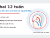 Thai 12 tuần: mốc quan trọng cuối tam cá nguyệt đầu Thai 12 tuần: mốc siêu âm cuối tam cá nguyệt đầu