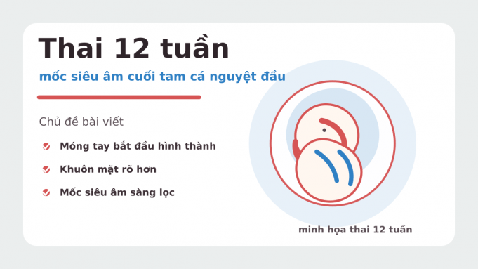 Thai 12 tuần: mốc siêu âm cuối tam cá nguyệt đầu