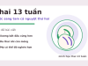 Thai 13 tuần: bước sang tam cá nguyệt thứ hai mẹ cần biết gì? Thai 13 tuần: bước sang tam cá nguyệt thứ hai