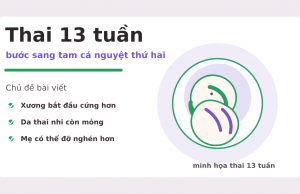 Thai 13 tuần: bước sang tam cá nguyệt thứ hai mẹ cần biết gì? Thai 13 tuần: bước sang tam cá nguyệt thứ hai