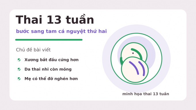 Thai 13 tuần: bước sang tam cá nguyệt thứ hai