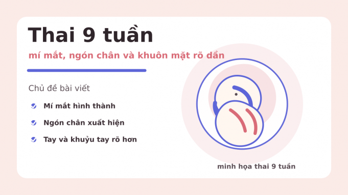Thai 9 tuần: mí mắt, ngón chân và khuôn mặt rõ dần